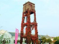 青岛国棉五厂百年爬墙虎老水塔又“红”了