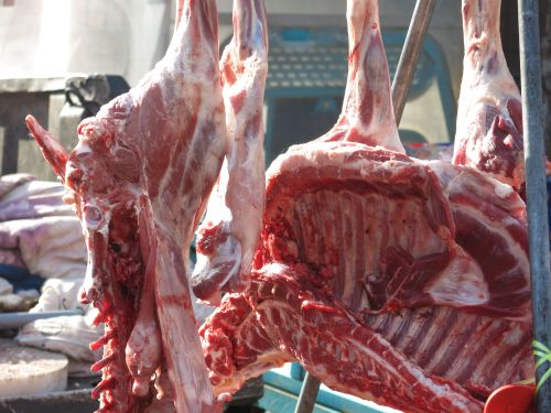 一排排的羊肉、羊排陈列在挂架上。“新鲜的羊排35元一斤！”来自高密胶河农场的孙先生向来往的客人吆喝着。
