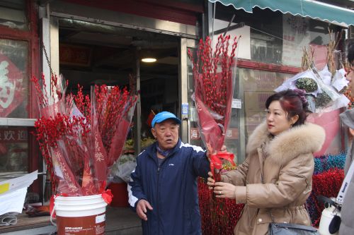 花店老板向市民介紹年宵花銀柳