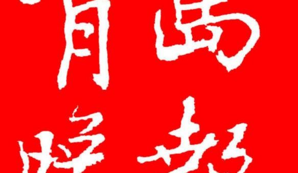 行動(dòng)起來(lái)，讓文化活起來(lái)——煙臺(tái)大學(xué)“正青春”社會(huì)實(shí)踐隊(duì)走進(jìn)大沽河博物館