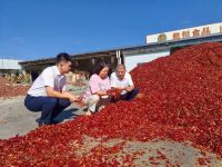 青島農(nóng)商銀行膠州支行首筆“金穗節(jié)節(jié)高”貸款助力鄉(xiāng)村全面振興